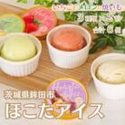 日本一の特産品を使った極上アイス【ほこたアイス】3種類×2個　合計6個