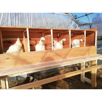 【朝採れ】旬のお野菜詰め合わせMサイズ