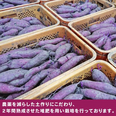 茨城県産 干し芋 紅はるか 140g x 5袋 (700g)