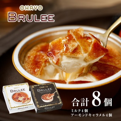 オハヨー乳業 OHAYO ブリュレ アイスクリームギフト 詰め合わせ 2種×8個入 BRULEE