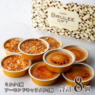 オハヨー乳業 OHAYO ブリュレ アイスクリームギフト 詰め合わせ 2種×8個入 BRULEE