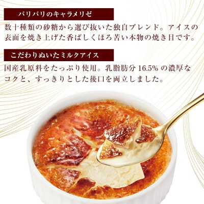 オハヨー乳業 OHAYO ブリュレ アイスクリームギフト 詰め合わせ 2種×8個入 BRULEE