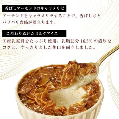 オハヨー乳業 OHAYO ブリュレ アイスクリームギフト 詰め合わせ 2種×8個入 BRULEE
