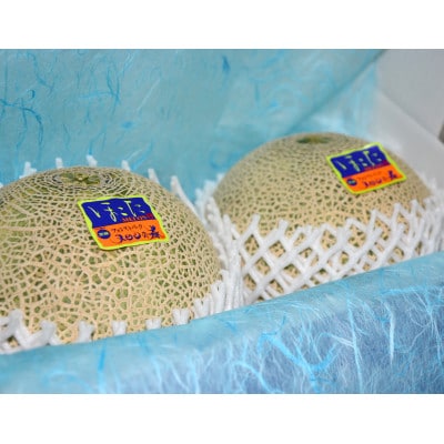 ほこたメロン 赤肉 4Lサイズ 2個詰め