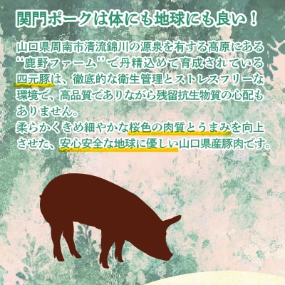 関門ポークのバターポークカレー 山口県産 豚肉 170g x 5袋 EW110