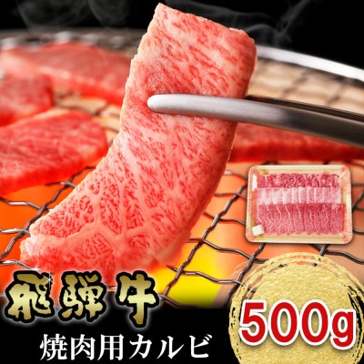 飛騨牛 焼肉用カルビ 500g