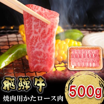 飛騨牛 焼肉用肩ロース 500g