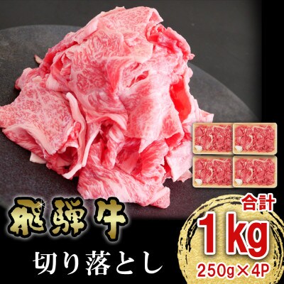 飛騨牛 切り落とし1kg (250g×4)