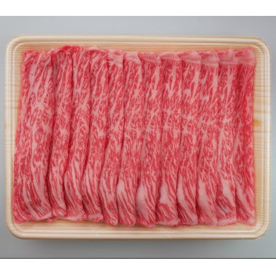 飛騨牛　しゃぶしゃぶ用　もも・かた肉　500g