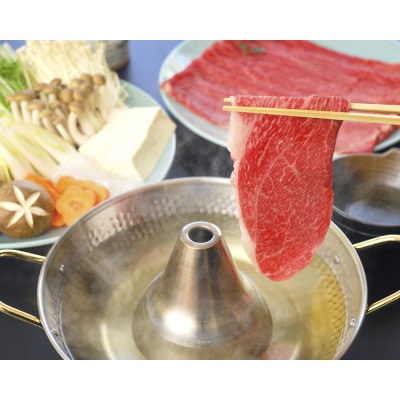 飛騨牛　しゃぶしゃぶ用　もも・かた肉　500g