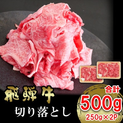 【毎月定期便】飛騨牛 切り落とし500g (250g×2)全6回