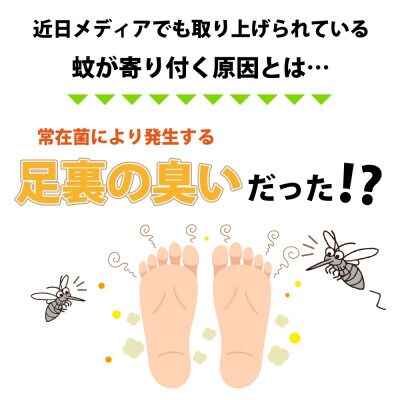 マジ蚊シート　10組セット