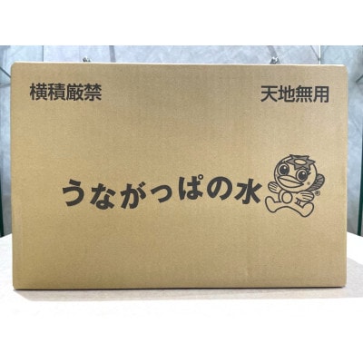 【1】うながっぱの水　1ケース