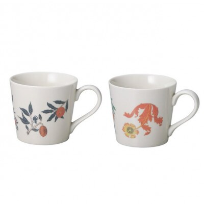 【温度で変化する器】【美濃焼】 温感 マグカップ (2個) ボタニカル 『コンプトン』『果実』