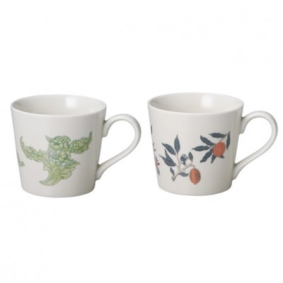 【温度で変化する器】【美濃焼】 温感 マグカップ (2個) ボタニカル 『皇帝』『果実』