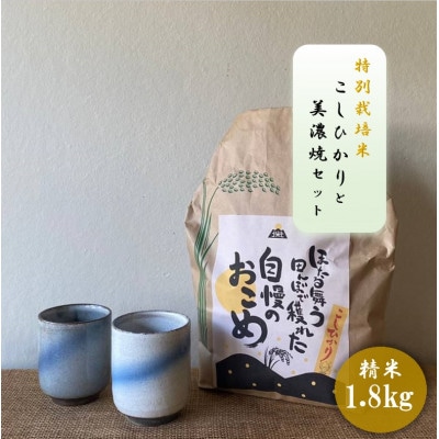 【令和7年産:精米】特別栽培米コシヒカリ(1.8kg)+【美濃焼】青雲かいらぎ湯呑大(2個)