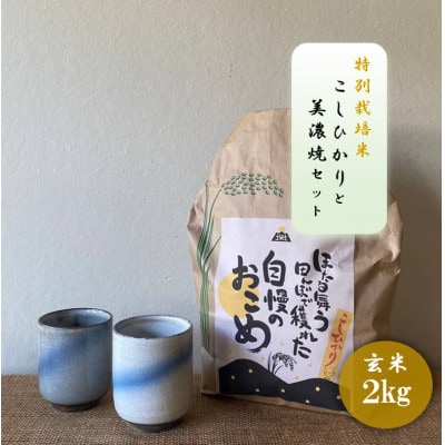 【令和7年産:玄米】特別栽培米コシヒカリ(2kg)+【美濃焼】青雲かいらぎ湯呑大(2個)