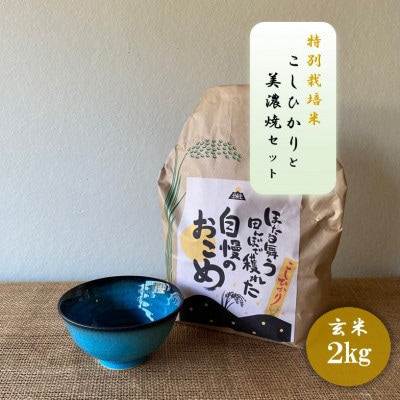 【令和7年産:玄米】特別栽培米コシヒカリ(2kg)+【美濃焼】青輝貫入茶碗