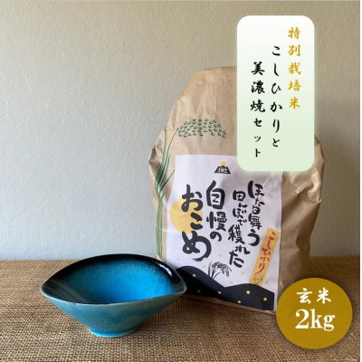 【令和7年産:玄米】特別栽培米コシヒカリ(2kg)+【美濃焼】青輝貫入楕円小鉢(2個)