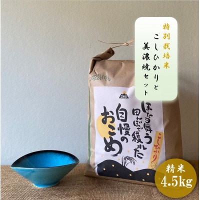 【令和7年産:精米】特別栽培米コシヒカリ(4.5kg)+【美濃焼】青輝貫入楕円小鉢(2個)