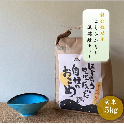 【令和7年産:玄米】特別栽培米コシヒカリ(5kg)+【美濃焼】青輝貫入楕円小鉢(2個)