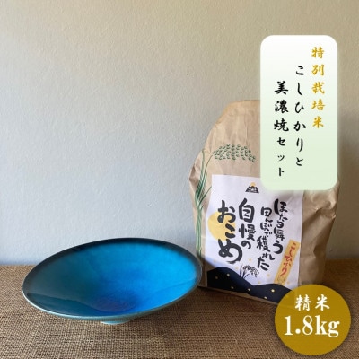 【令和7年産:精米】特別栽培米コシヒカリ(1.8kg)+【美濃焼】青輝貫入7寸鉢