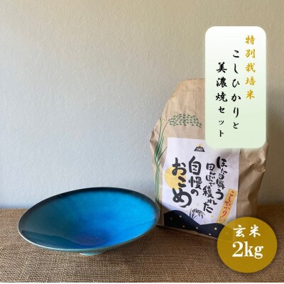 【令和7年産:玄米】特別栽培米コシヒカリ(2kg)+【美濃焼】青輝貫入7寸鉢