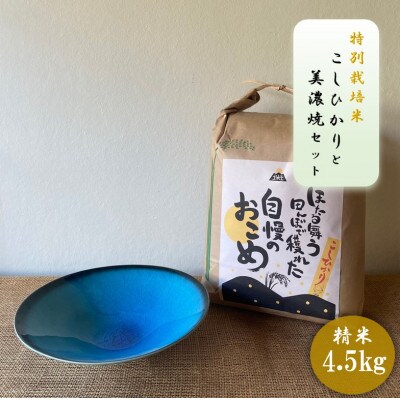 【令和7年産:精米】特別栽培米コシヒカリ(4.5kg)+【美濃焼】青輝貫入7寸鉢