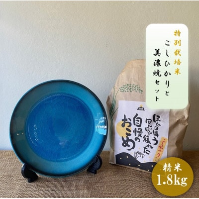 【令和7年産:精米】特別栽培米コシヒカリ(1.8kg)+【美濃焼】青輝貫入7寸皿