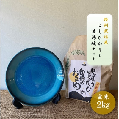 【令和7年産:玄米】特別栽培米コシヒカリ(2kg)+【美濃焼】青輝貫入7寸皿