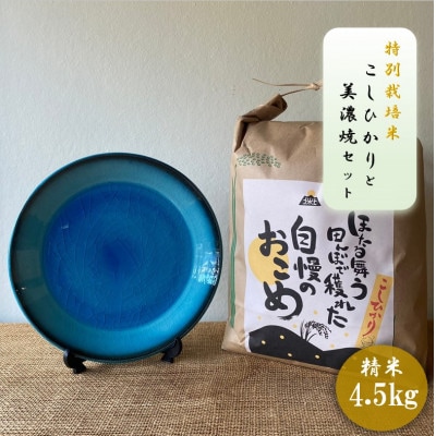【令和7年産:精米】特別栽培米コシヒカリ(4.5kg)+【美濃焼】青輝貫入7寸皿