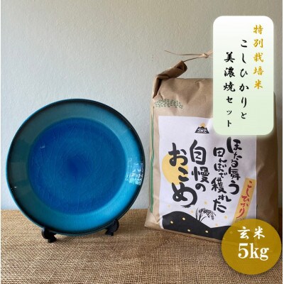 【令和7年産:玄米】特別栽培米コシヒカリ(5kg)+【美濃焼】青輝貫入7寸皿