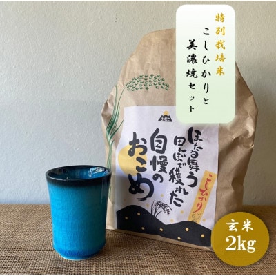【令和7年産:玄米】特別栽培米コシヒカリ(2kg)+【美濃焼】青輝貫入湯呑(2個)