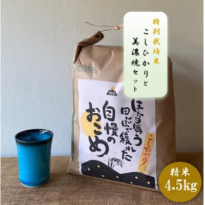 【令和7年産:精米】特別栽培米コシヒカリ(4.5kg)+【美濃焼】青輝貫入湯呑(2個)