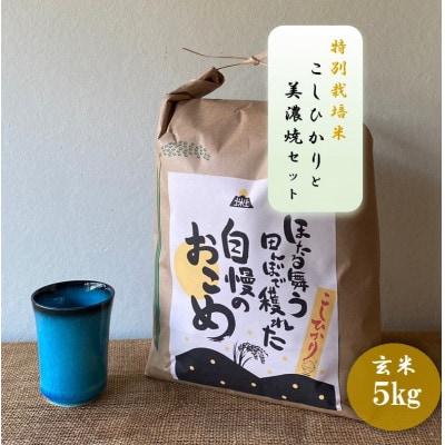 【令和7年産:玄米】特別栽培米コシヒカリ(5kg)+【美濃焼】青輝貫入湯呑(2個)