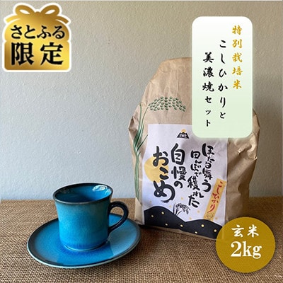 【さとふる限定】【令和7年産:玄米】特別栽培米 コシヒカリ(2kg)+【美濃焼】青輝貫入 コーヒー