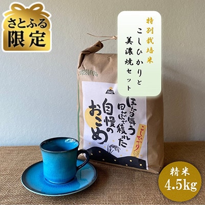 【さとふる限定】【令和7年産:精米】特別栽培米コシヒカリ(4.5kg)+【美濃焼】青輝貫入 コーヒー