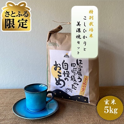【さとふる限定】【令和7年産:玄米】特別栽培米 コシヒカリ(5kg)+【美濃焼】青輝貫入 コーヒー