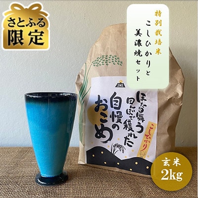 【さとふる限定】令和7年産:玄米 特別栽培米 コシヒカリ(2kg)+【美濃焼】青輝貫入 フリーカップ