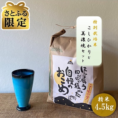 【さとふる限定】令和7年産:精米 特別栽培米コシヒカリ(4.5kg)+【美濃焼】青輝貫入フリーカップ