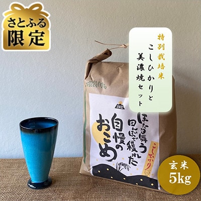 【さとふる限定】令和7年産:玄米 特別栽培米 コシヒカリ(5kg)+【美濃焼】青輝貫入 フリーカップ