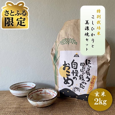【さとふる限定】【令和7年産:玄米】特別栽培米 コシヒカリ(2kg)+【美濃焼】赤絵かいらぎ 小付け