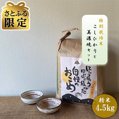 【さとふる限定】【令和7年産:精米】特別栽培米コシヒカリ(4.5kg)+【美濃焼】赤絵かいらぎ小付け