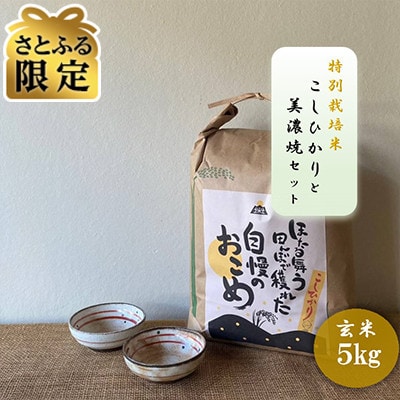 【さとふる限定】【令和7年産:玄米】特別栽培米 コシヒカリ(5kg)+【美濃焼】赤絵かいらぎ 小付け
