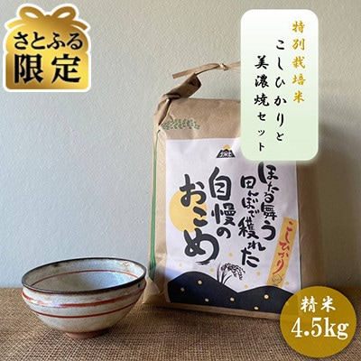 【さとふる限定】【令和7年産:精米】特別栽培米コシヒカリ(4.5kg)+【美濃焼】赤絵かいらぎ 大平
