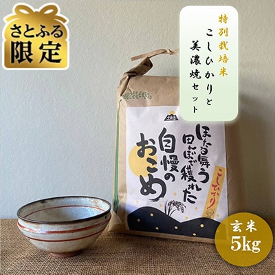 【さとふる限定】【令和7年産:玄米】特別栽培米コシヒカリ(5kg)+【美濃焼】赤絵かいらぎ 大平
