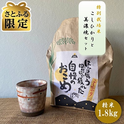 【さとふる限定】【令和7年産:精米】特別栽培米コシヒカリ(1.8kg)+【美濃焼】赤絵かいらぎカップ