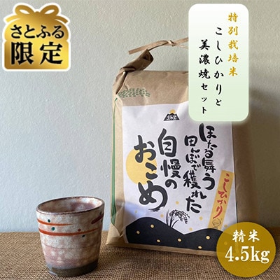 【さとふる限定】【令和7年産:精米】特別栽培米コシヒカリ(4.5kg)+【美濃焼】赤絵かいらぎカップ