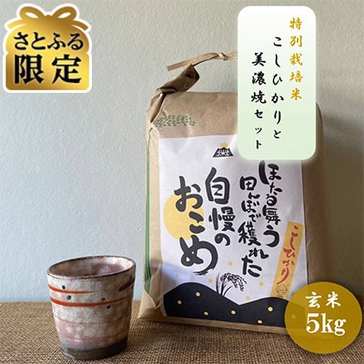 【さとふる限定】【令和7年産:玄米】特別栽培米 コシヒカリ(5kg)+【美濃焼】赤絵かいらぎ カップ