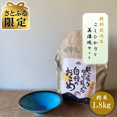 【さとふる限定】【令和7年産:精米】特別栽培米コシヒカリ(1.8kg)+【美濃焼】青輝貫入 小鉢2個